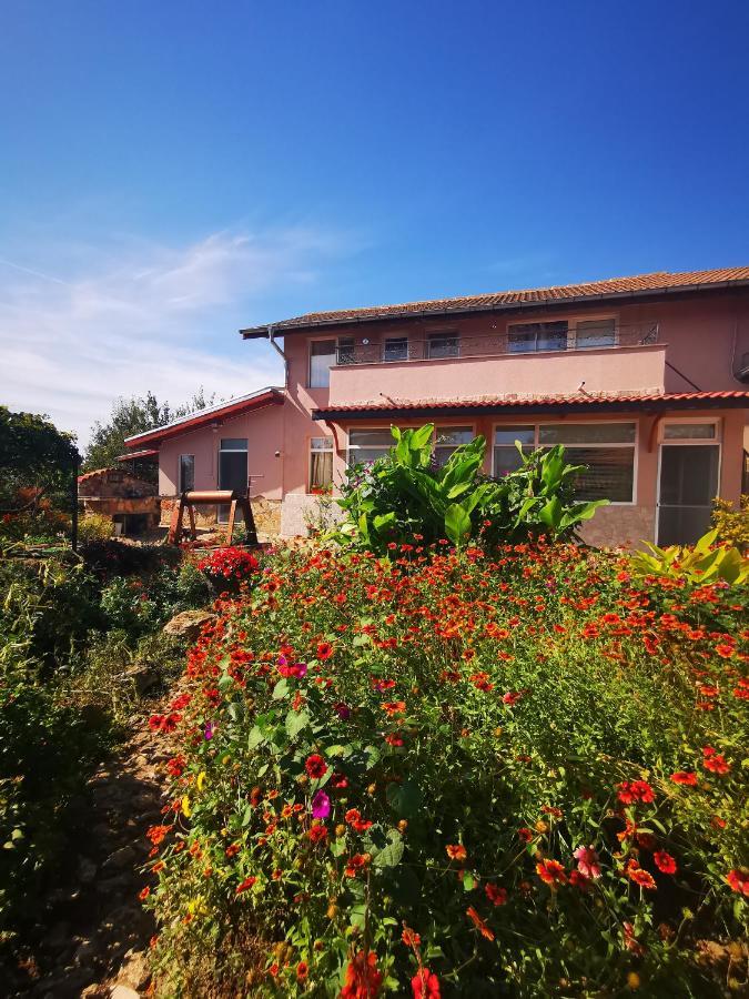 Guest House Ezerets Экстерьер фото